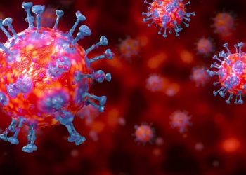 coronavirus